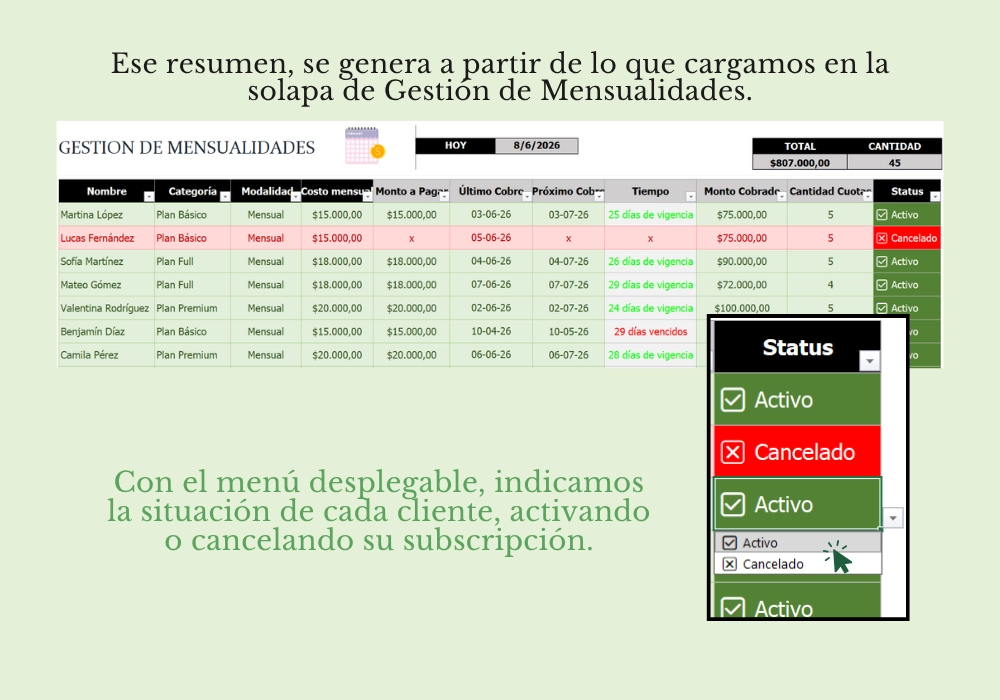 Gestion de Mensualidades - Imagen 3