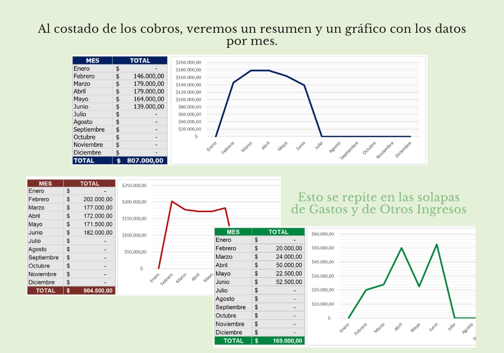 Gestion de Mensualidades - Imagen 5