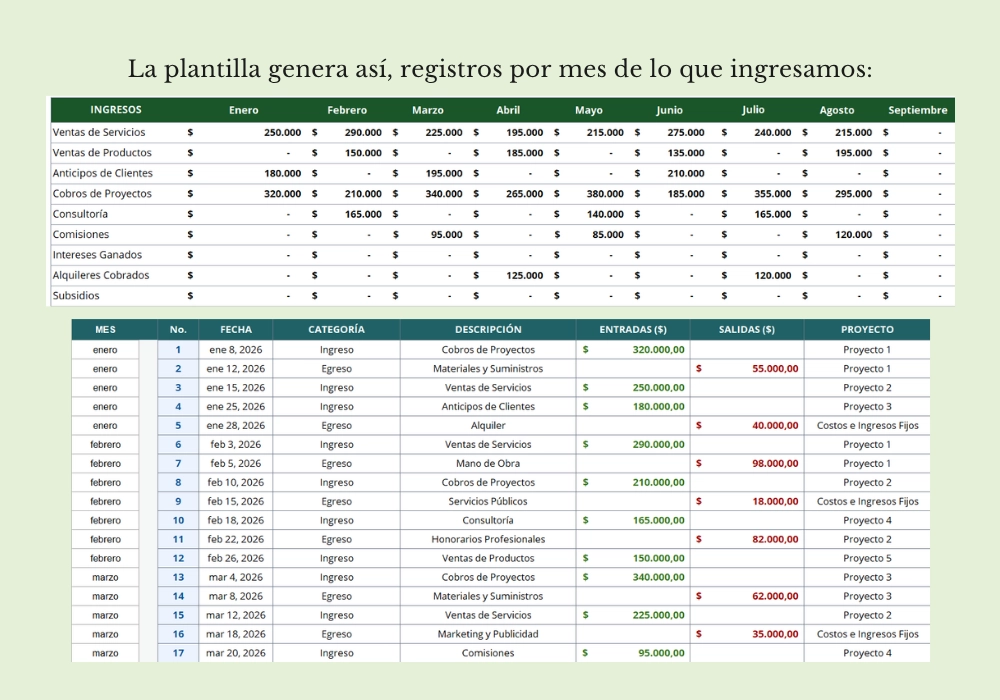 Contabilidad por Proyectos - Imagen 4