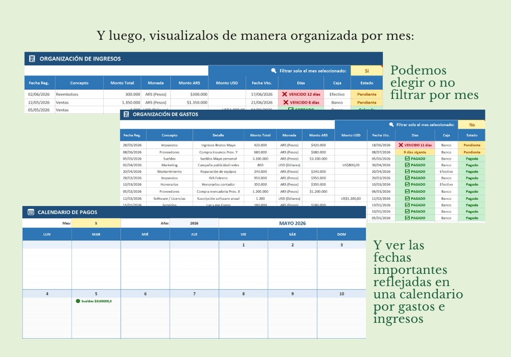 Plantilla Bimonetaria - Imagen 4