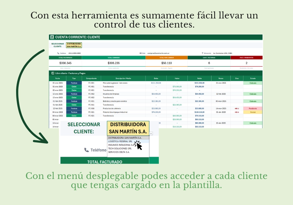 Control de Cuentas Corrientes - Clientes - Imagen 2