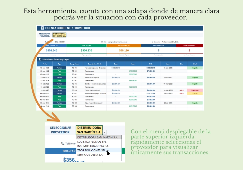 Control de Cuentas Corrientes - Proveedores - Imagen 2
