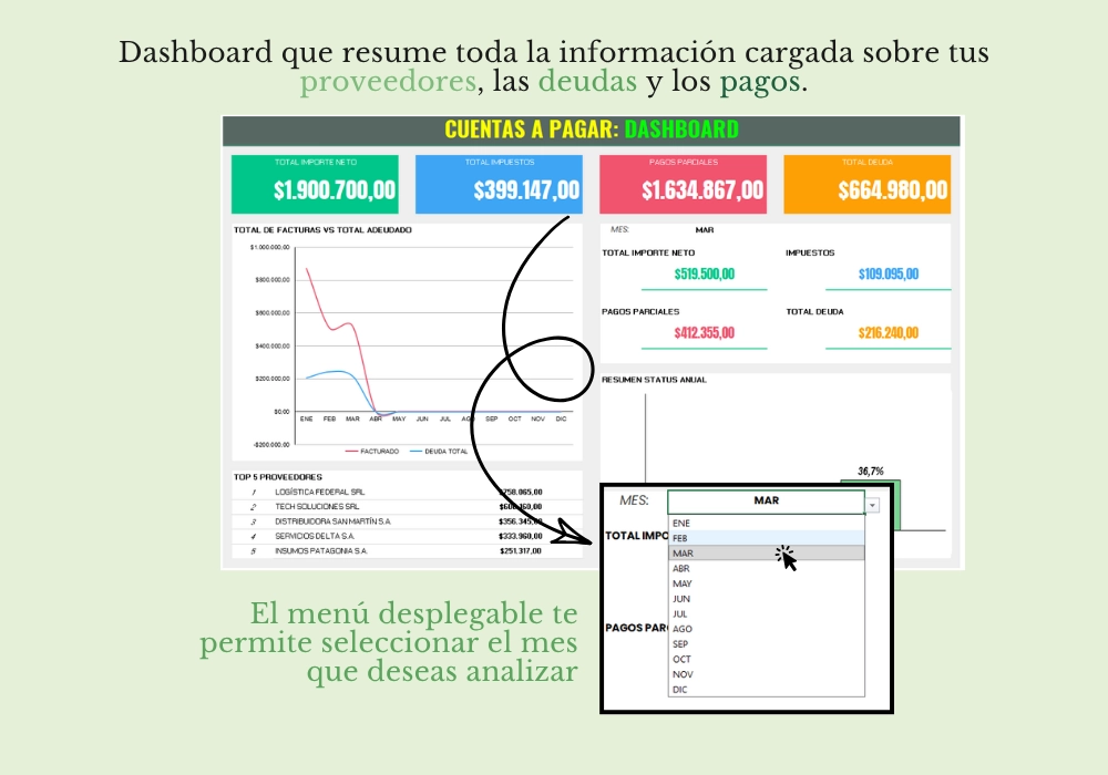 Control de Cuentas Corrientes - Proveedores - Imagen 4