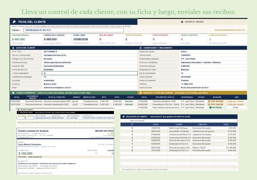 Gestión de Estudios Contables - Imagen 7