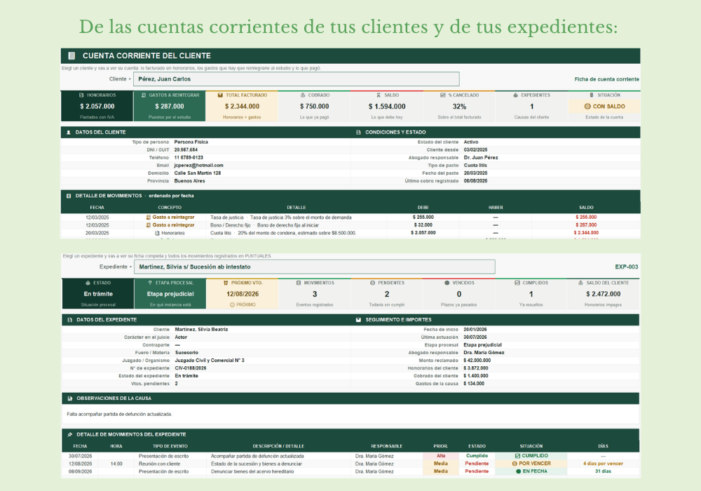 Gestión de Estudios Jurídicos - Imagen 9